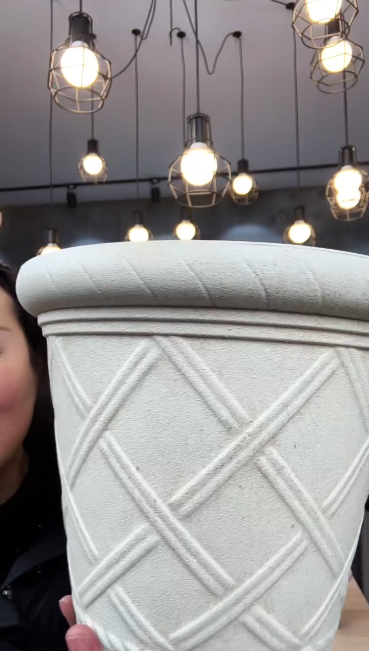 【闪购商品】塑料12寸罗马3只装无托