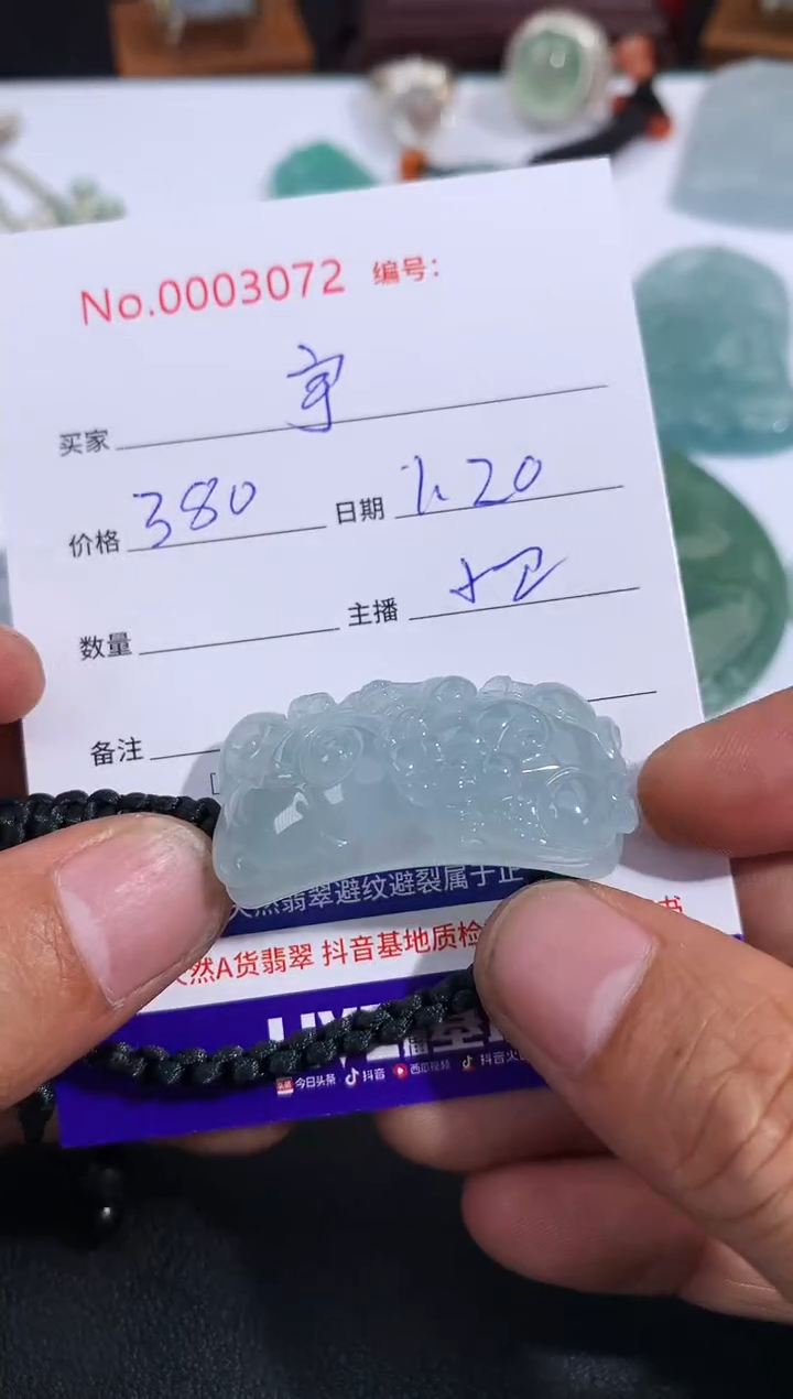 【闪购商品】翡翠颈饰未镶嵌 @宇