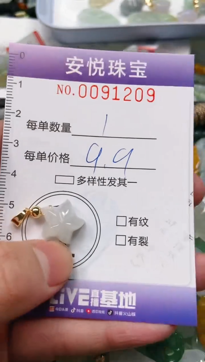 【闪购商品】翡翠颈饰未镶嵌闪购0091209