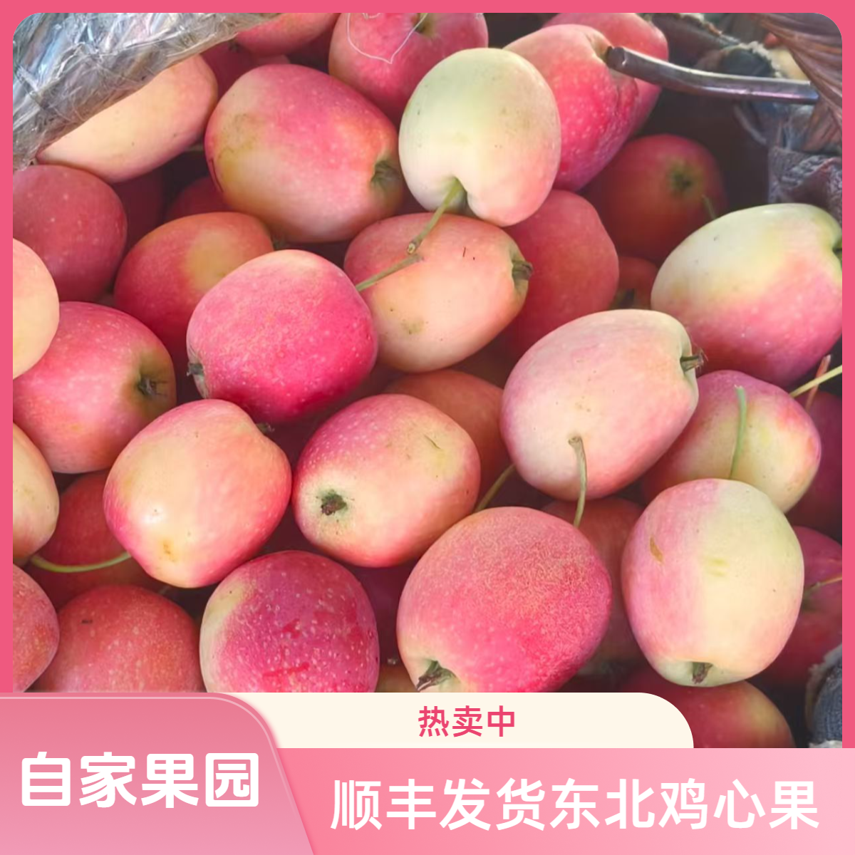 【顺丰】自家果园鸡心果脆甜多汁应季水果