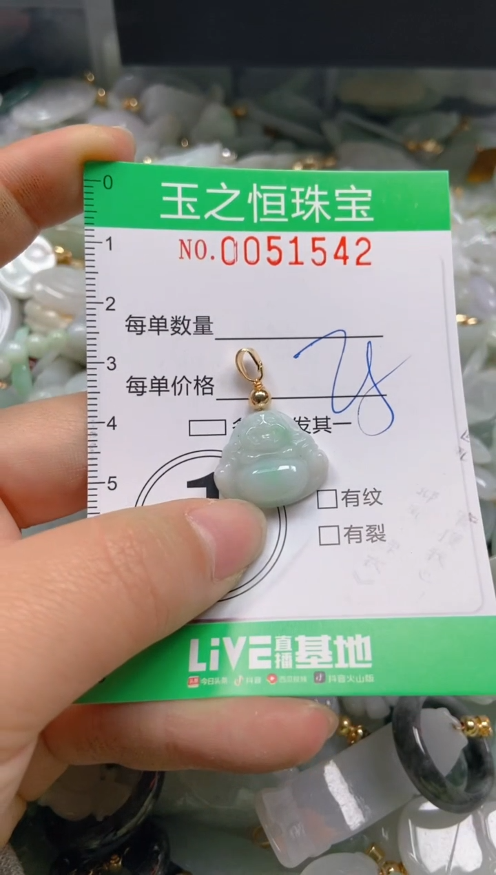 【闪购商品】翡翠颈饰未镶嵌闪购0051542