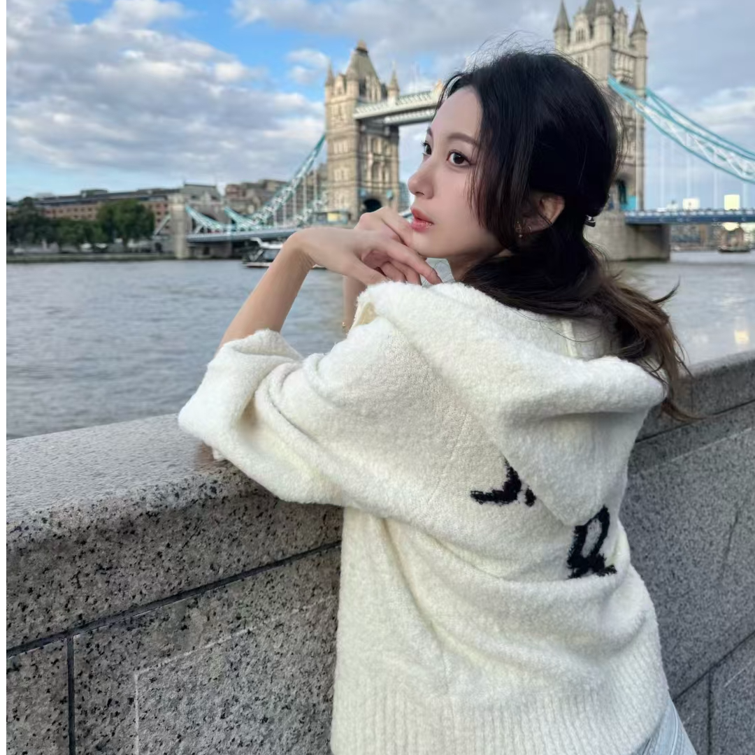 未使用 DIOR/迪奥 Dior 米色logo印花连帽羊毛针织衫36