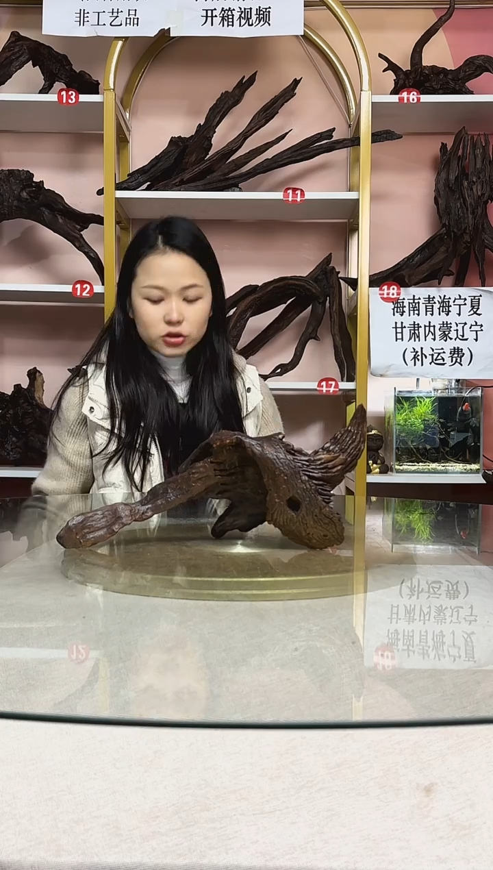 月**古鱼缸造景沉木A031