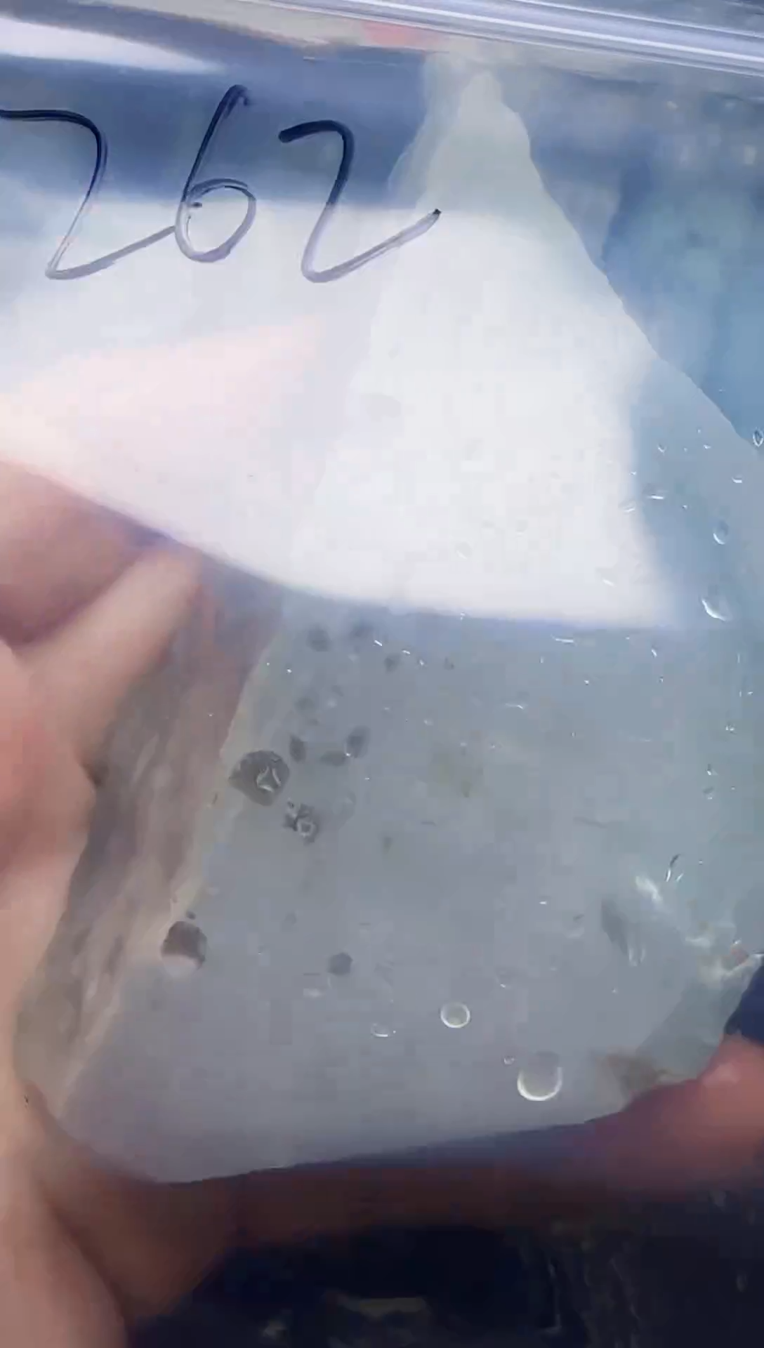 颈饰未镶嵌翡翠你****一262