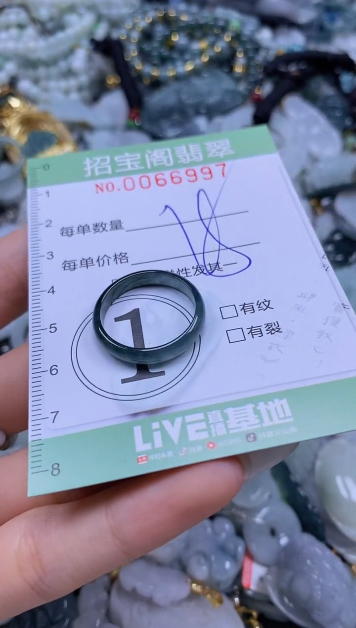 【闪购商品】翡翠未镶嵌颈饰闪购0066997