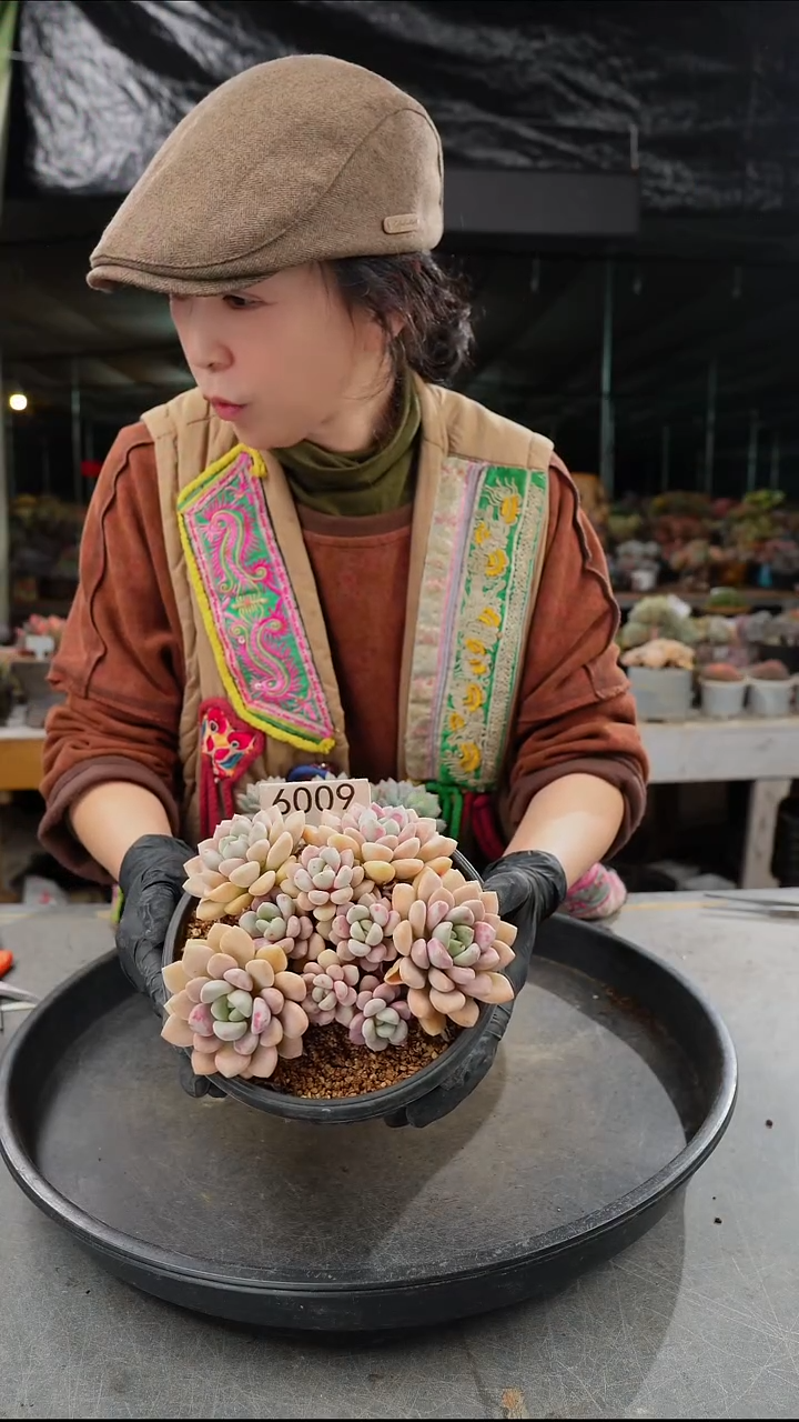 虾****️6009号            肉