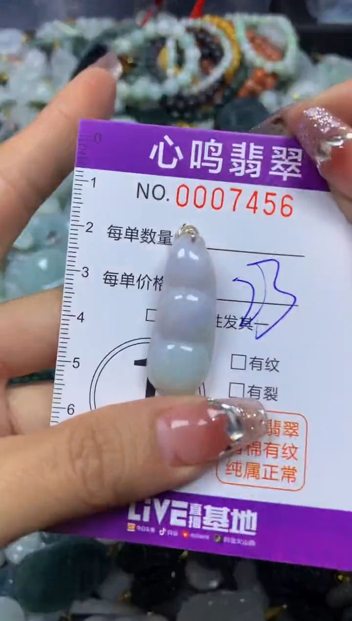 【闪购商品】翡翠颈饰未镶嵌闪购007456