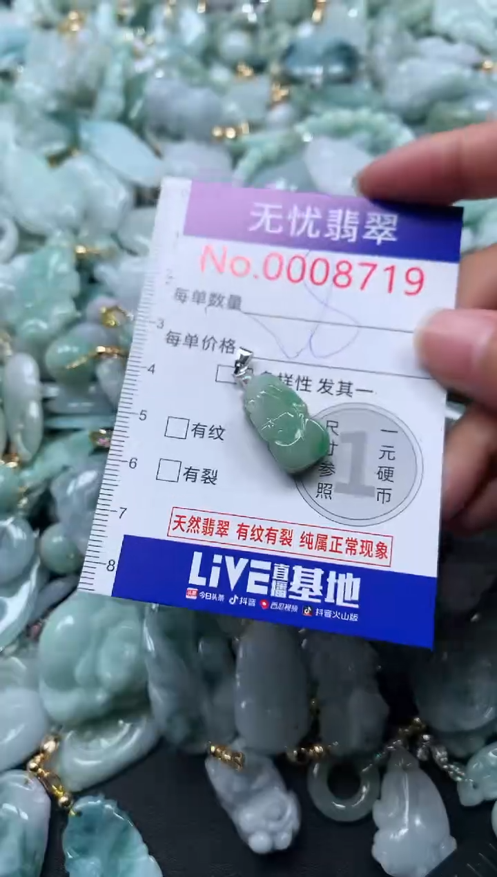 颈饰未镶嵌翡翠8719