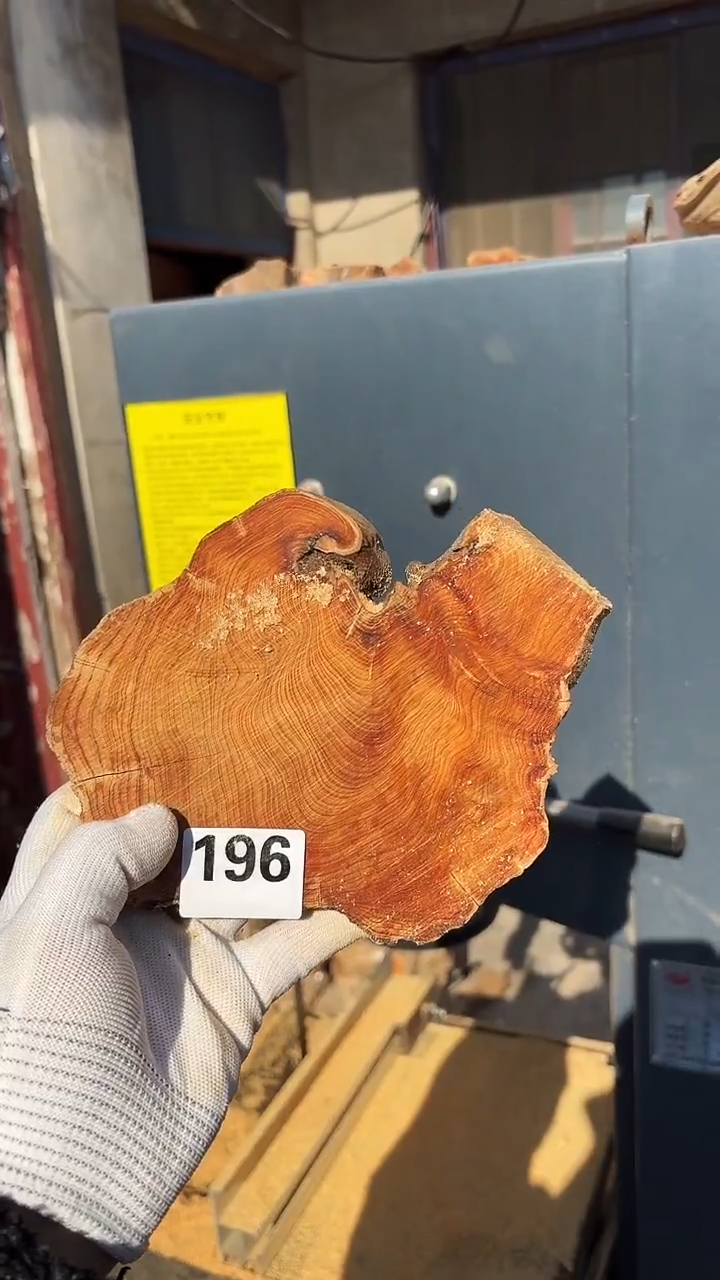 柏木（崖柏）太行崖柏毛料