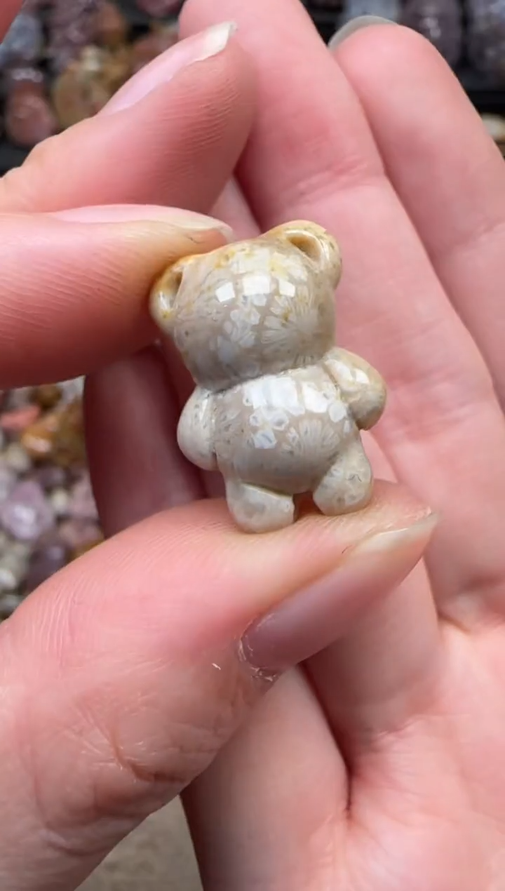 颈饰未镶嵌硅化珊瑚（珊瑚玉）092