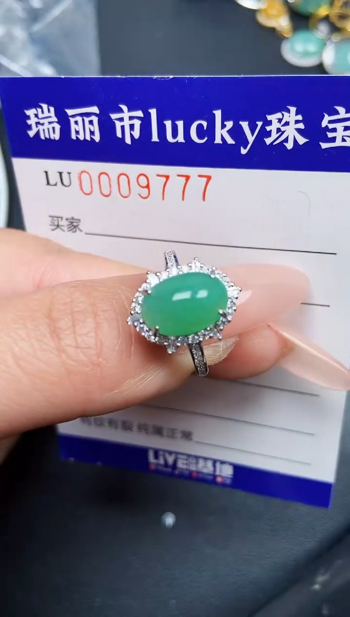 【闪购商品】翡翠颈饰银S925镶嵌9777