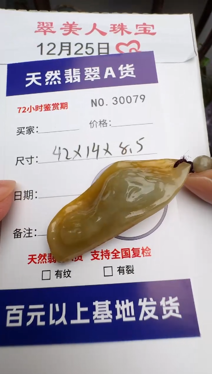 颈饰未镶嵌翡翠原石30079
