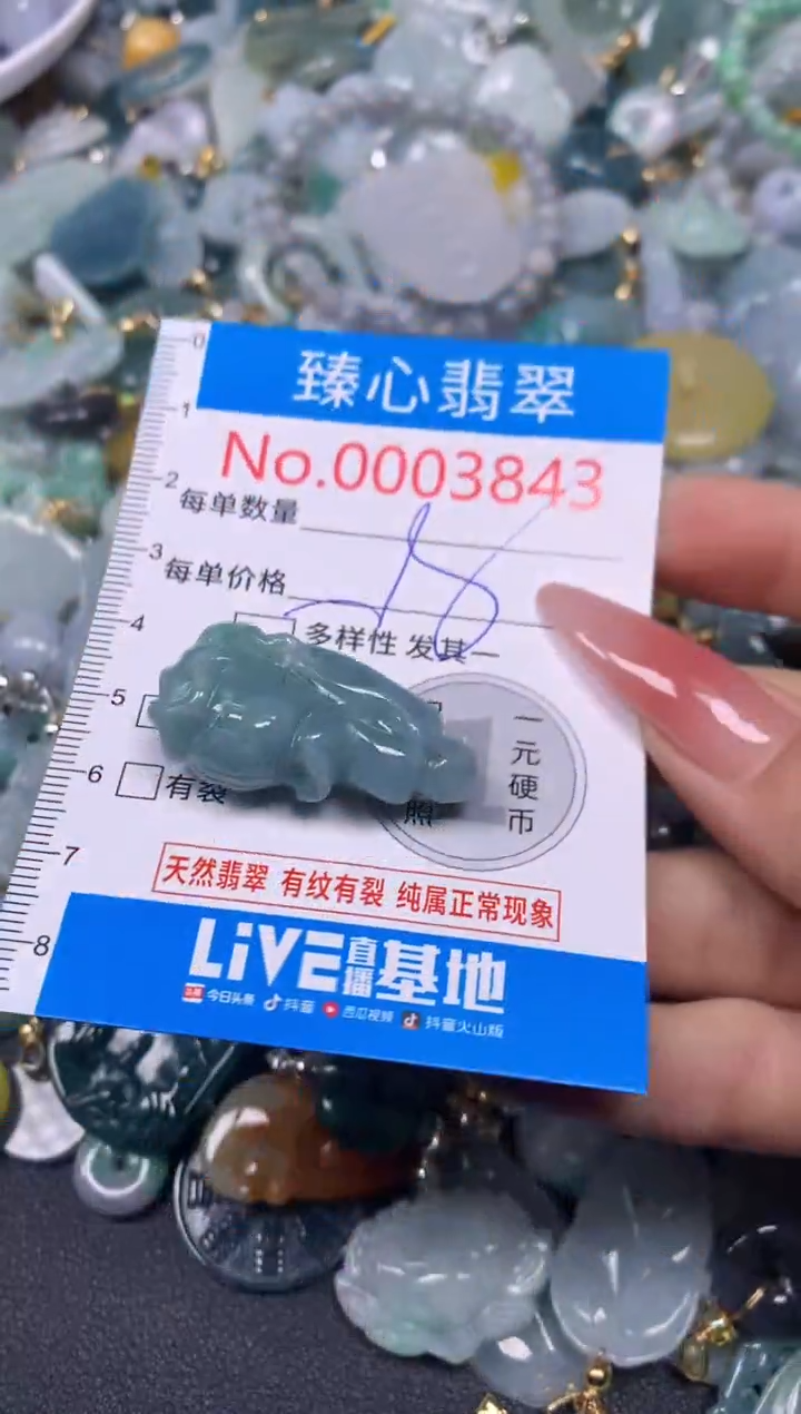 【闪购商品】翡翠颈饰未镶嵌含绳0003843