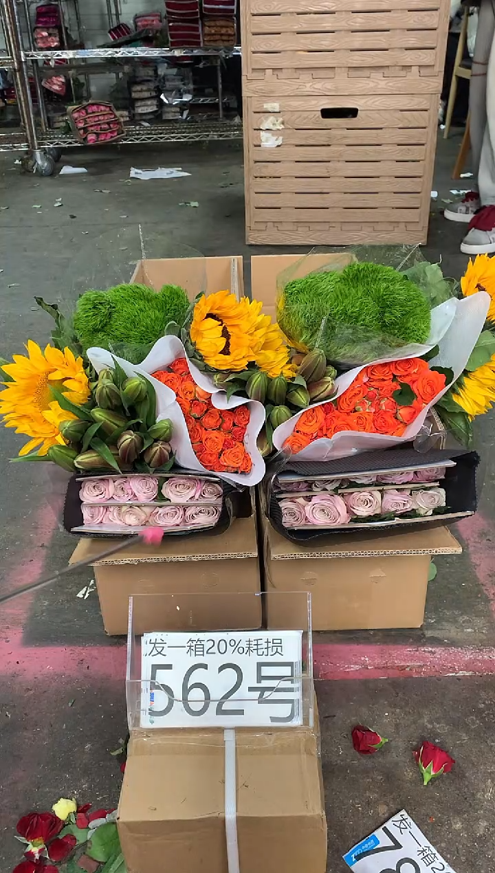 562号♥含20%耗损发一箱