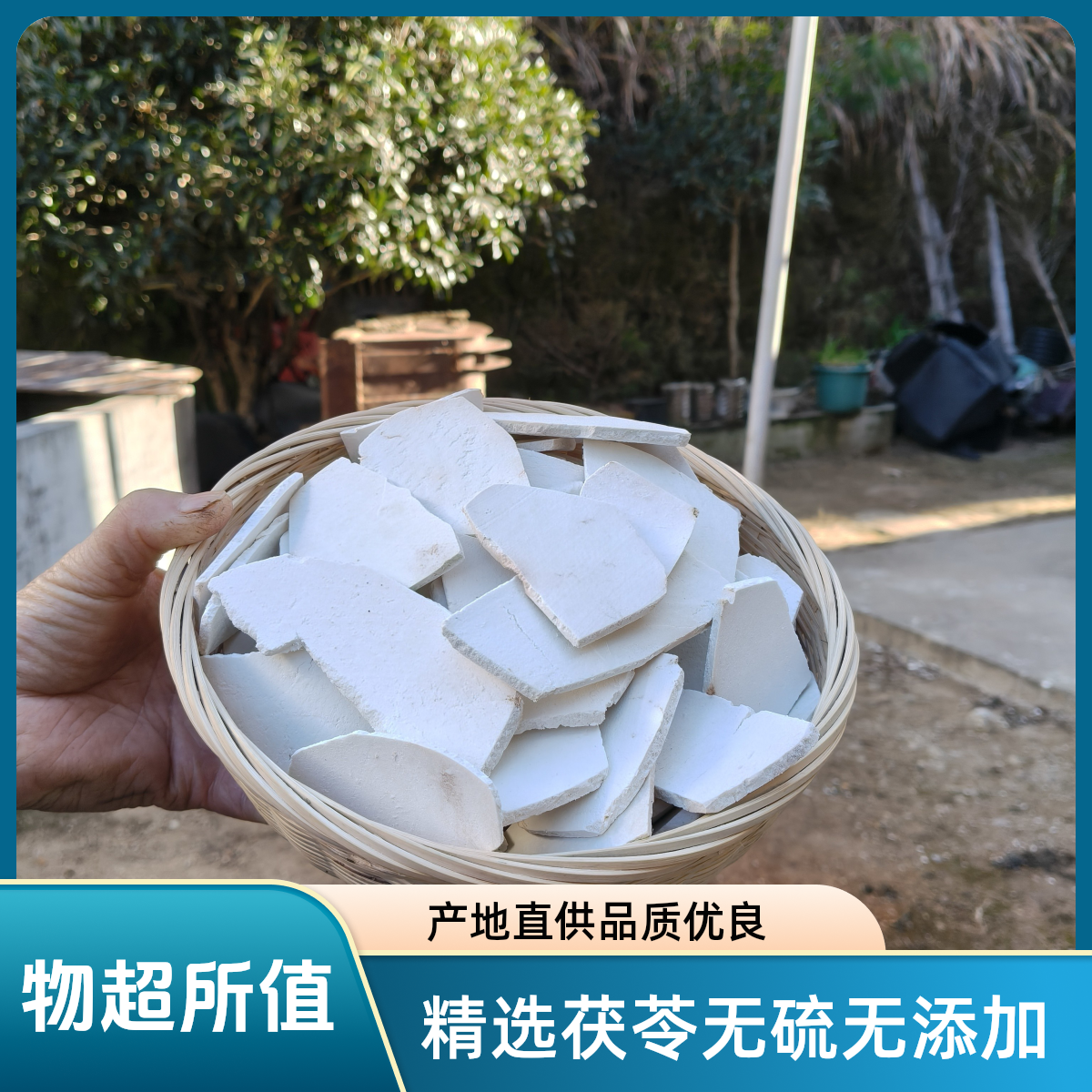 【茯苓碎】精选岳西茯苓白茯苓碎500g无硫无添加煲汤泡水制作四神汤