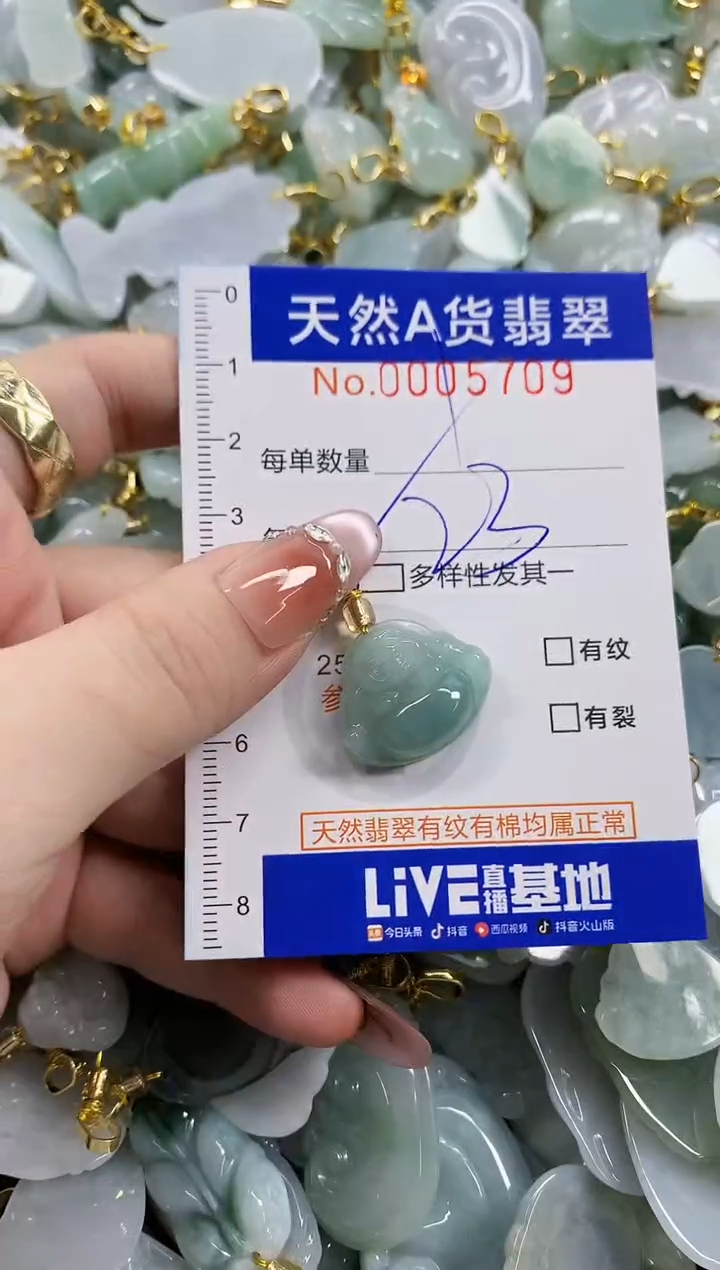 颈饰未镶嵌翡翠天然A货翡翠