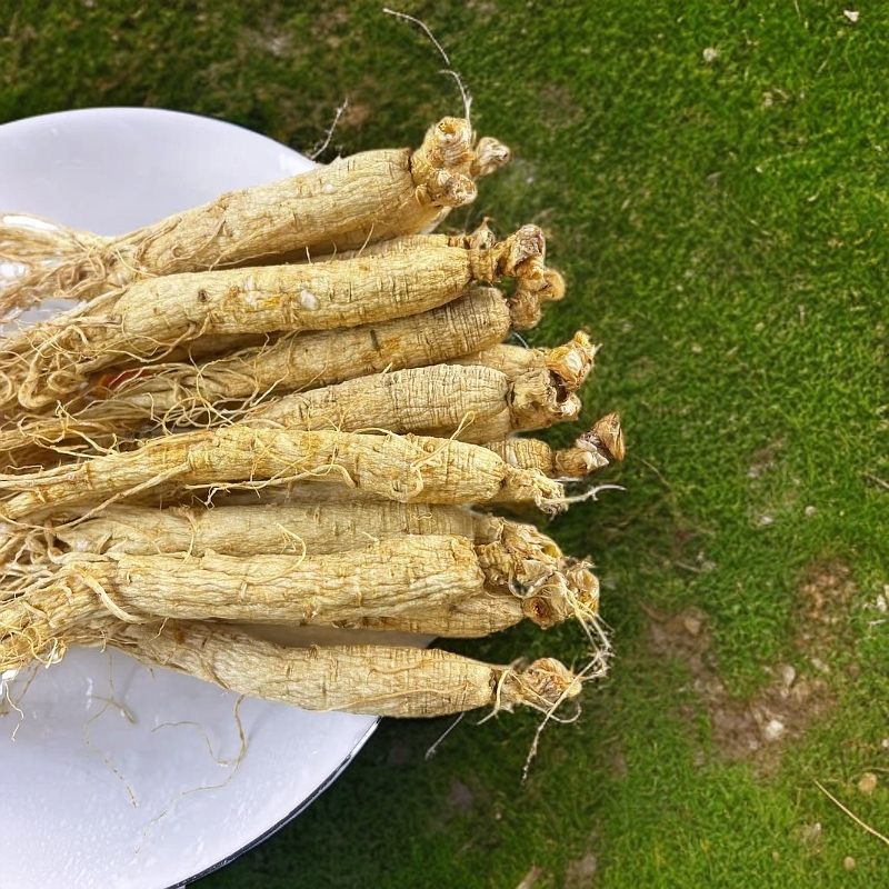 聪慧童年长白山人参生晒人参煲汤泡水泡酒专用直播长白山人参