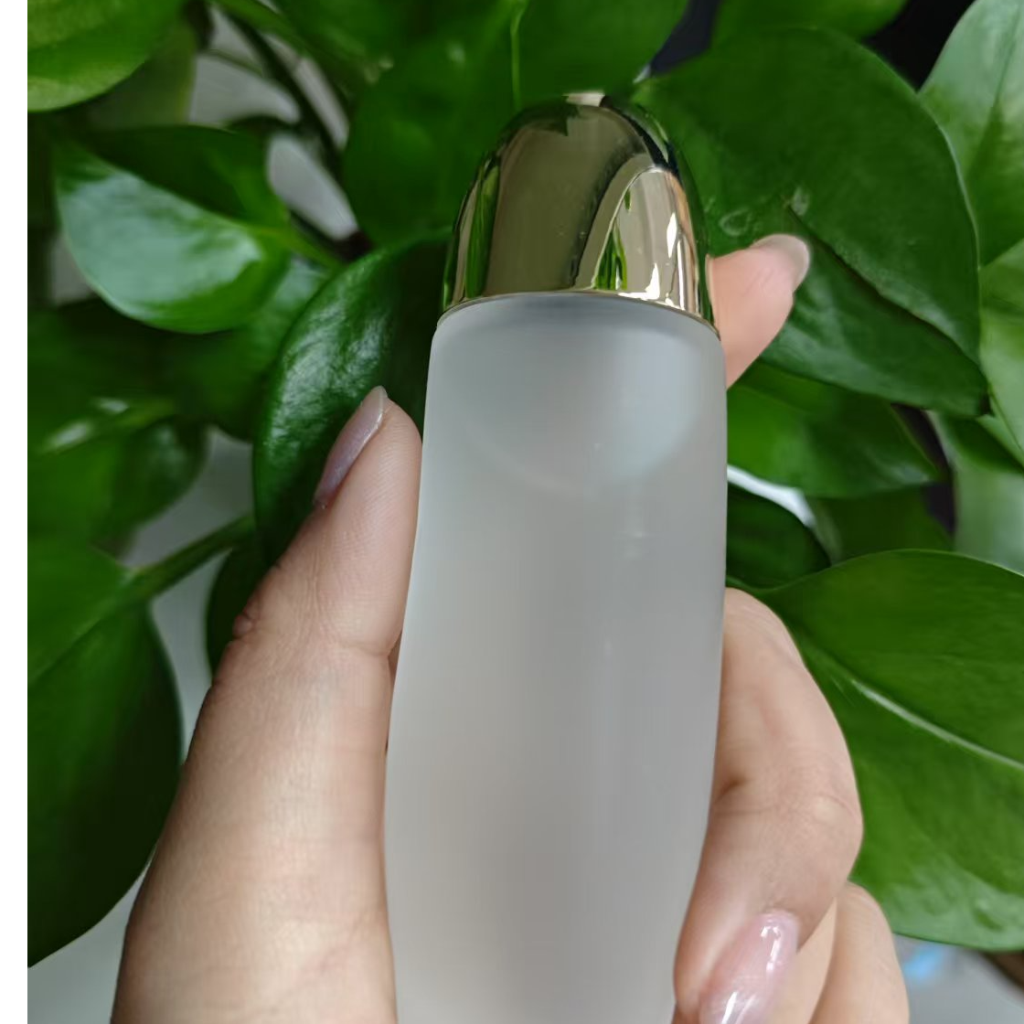 【言言分享娇】月光凝时精华水