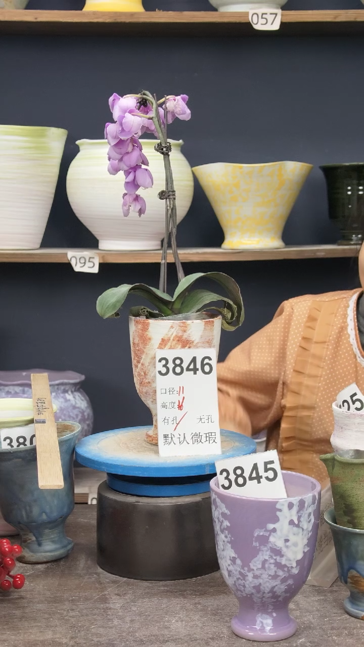 景德镇花盆默认微瑕3846