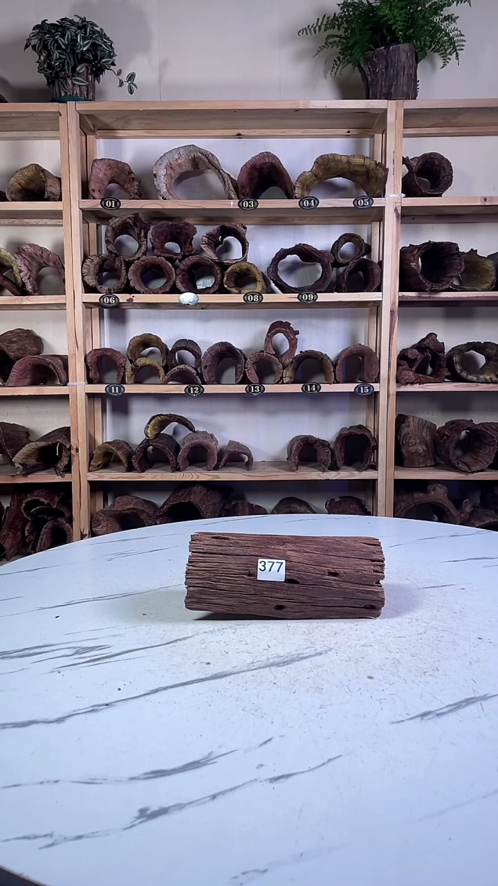 干****谷云南紫柚木造景沉木377