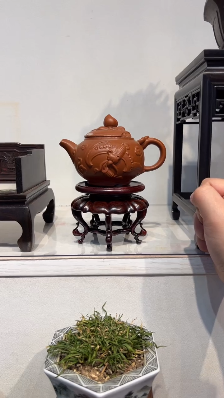 【闪购商品】紫砂1紫砂紫砂紫砂紫砂紫砂2