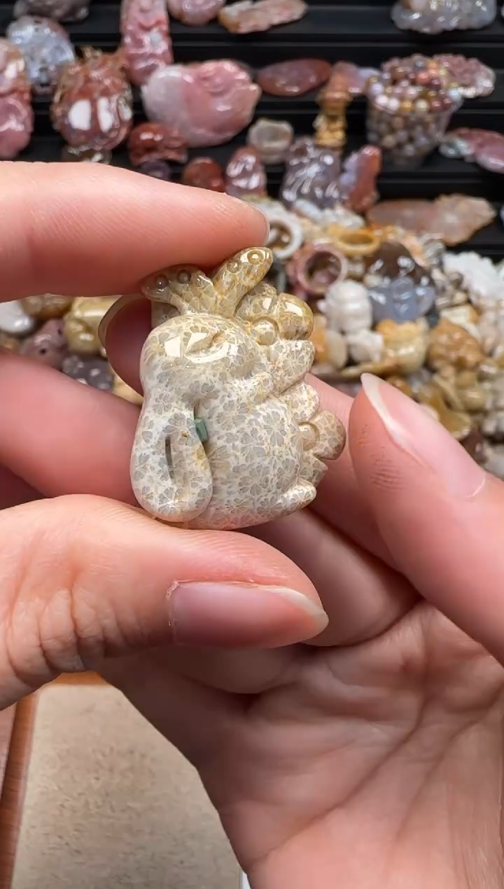 【闪购商品】硅化珊瑚（珊瑚玉）颈饰未镶嵌710