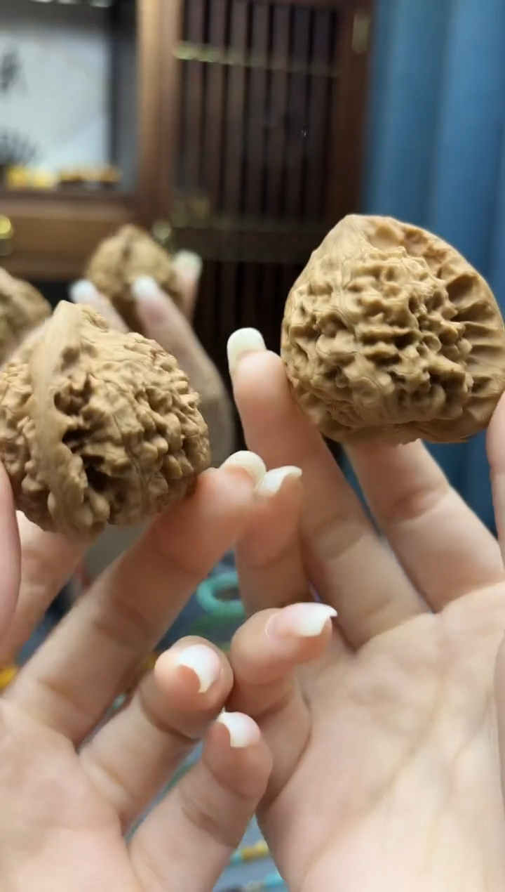 未镶嵌车挂玛瑙/玉髓玛瑙配饰一对GW