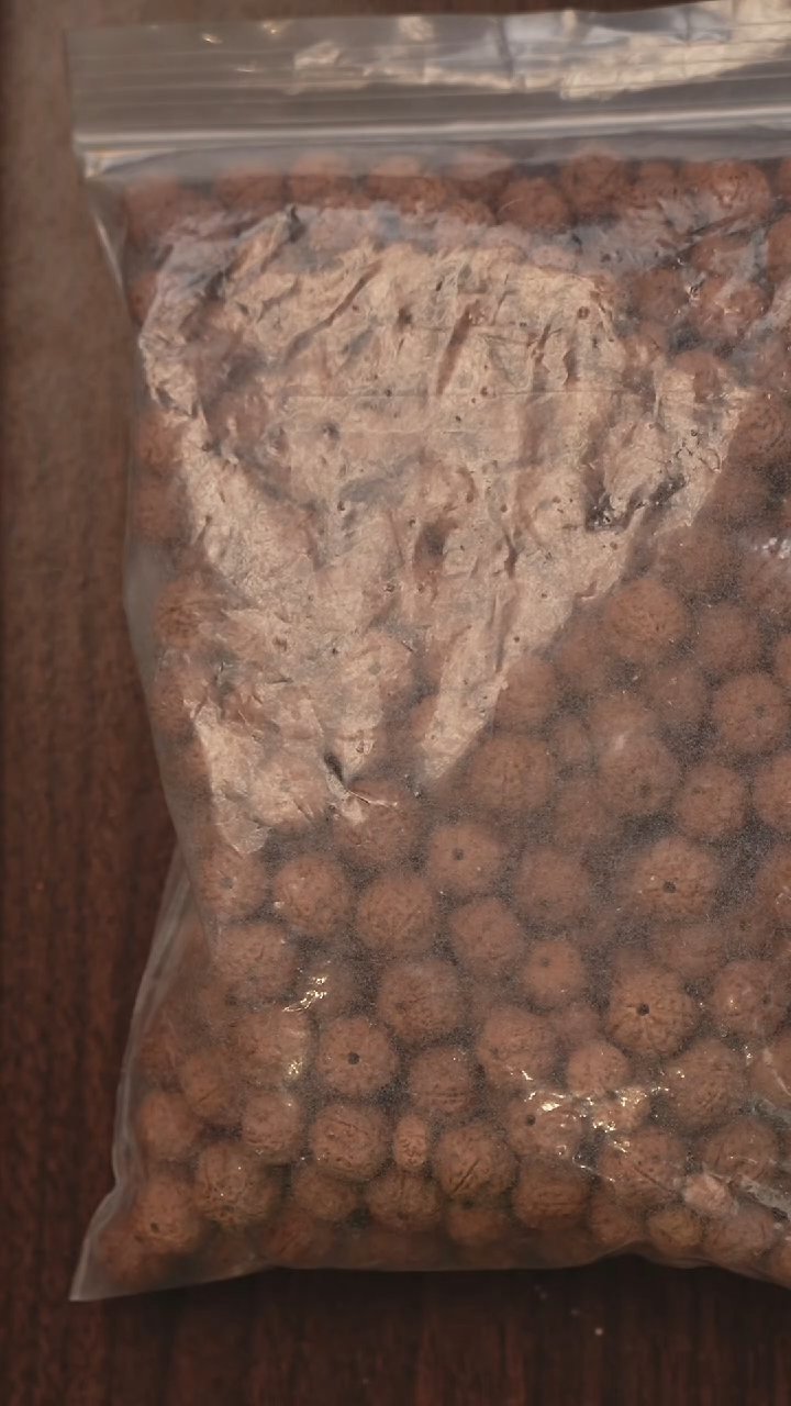 吊坠金刚菩提1111散籽 散籽 散籽