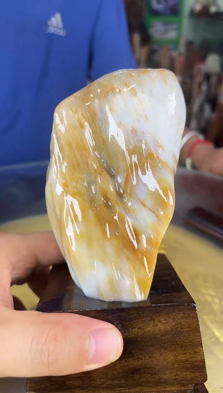 未镶嵌珠宝奇石硅化玉缅甸天然树化玉摆件 