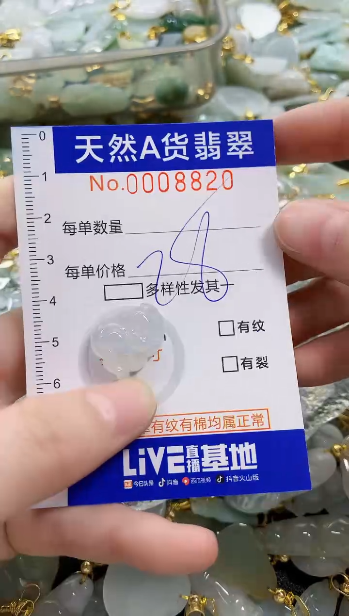 颈饰未镶嵌翡翠天然A货翡翠