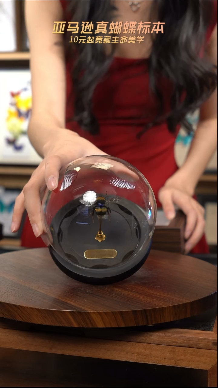 熊蜂蜂王玻璃球款