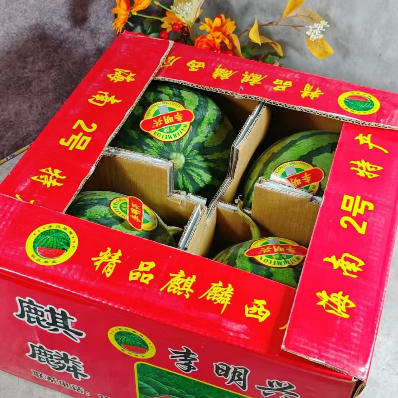李明星麒麟西瓜1粒海南省