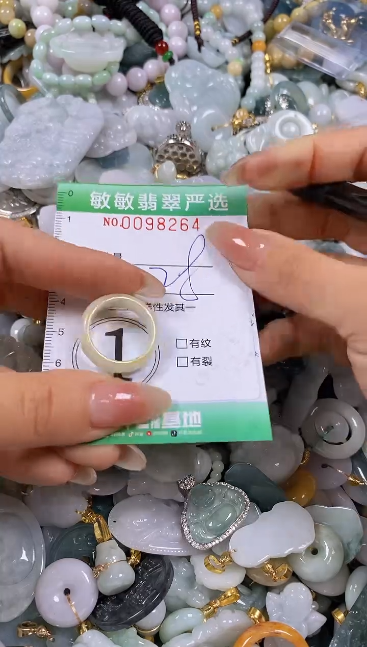 【闪购商品】翡翠颈饰未镶嵌闪购0098264