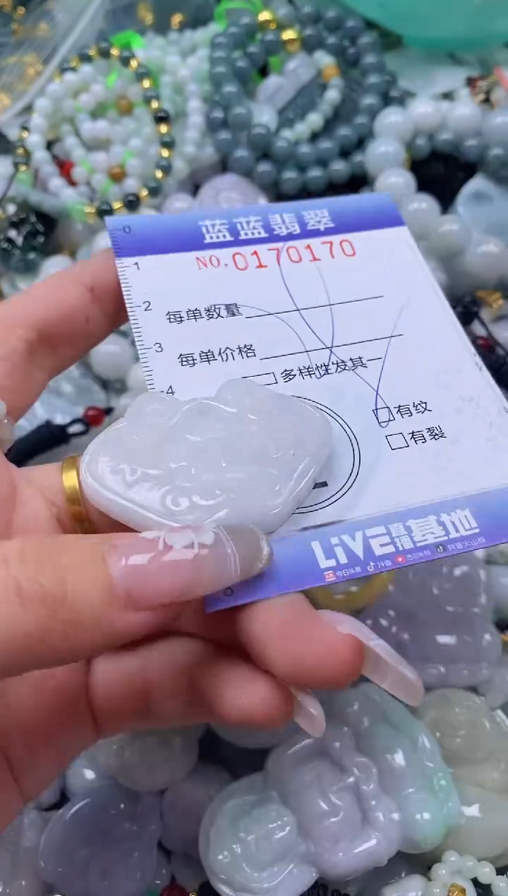 【闪购商品】翡翠颈饰未镶嵌闪购0170170