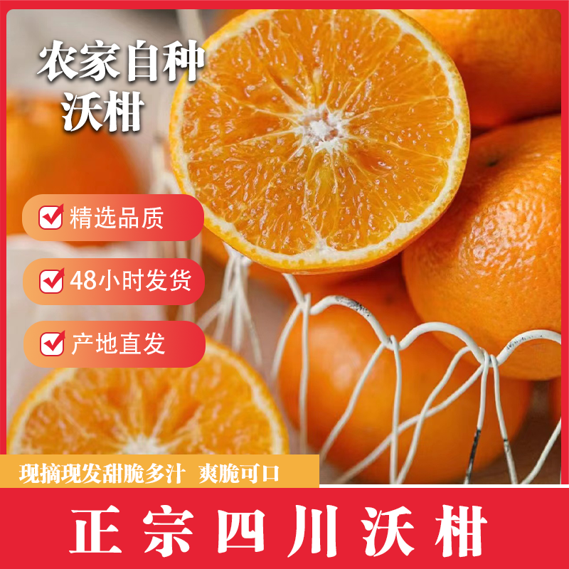 正宗四川沃柑 自家果园种植 甜蜜多汁 老少皆宜果园直达