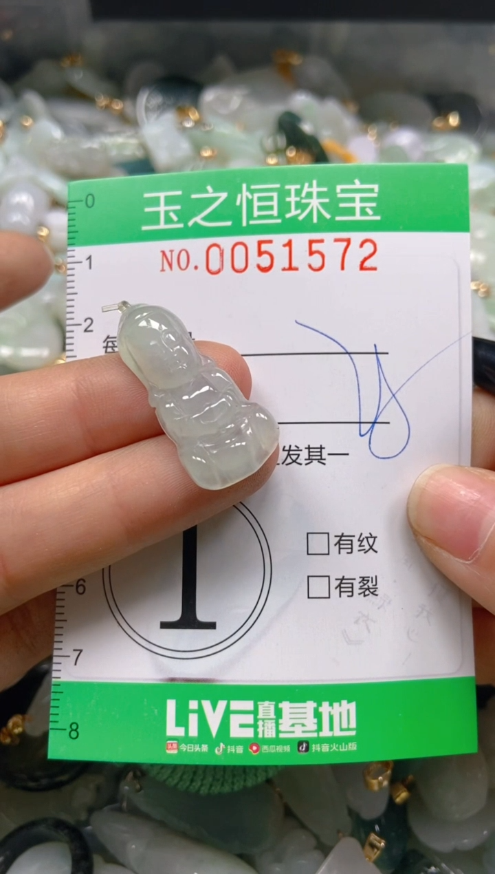 【闪购商品】翡翠颈饰未镶嵌闪购0051572