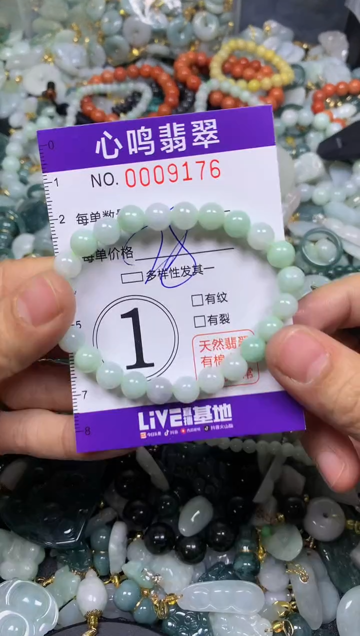 【闪购商品】翡翠颈饰未镶嵌闪购009176