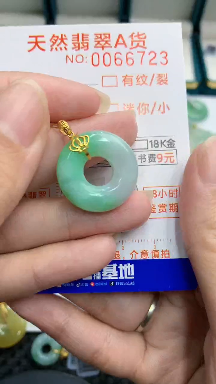【闪购商品】翡翠颈饰18K金镶嵌            8