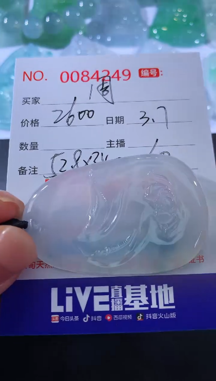 【闪购商品】翡翠颈饰未镶嵌周