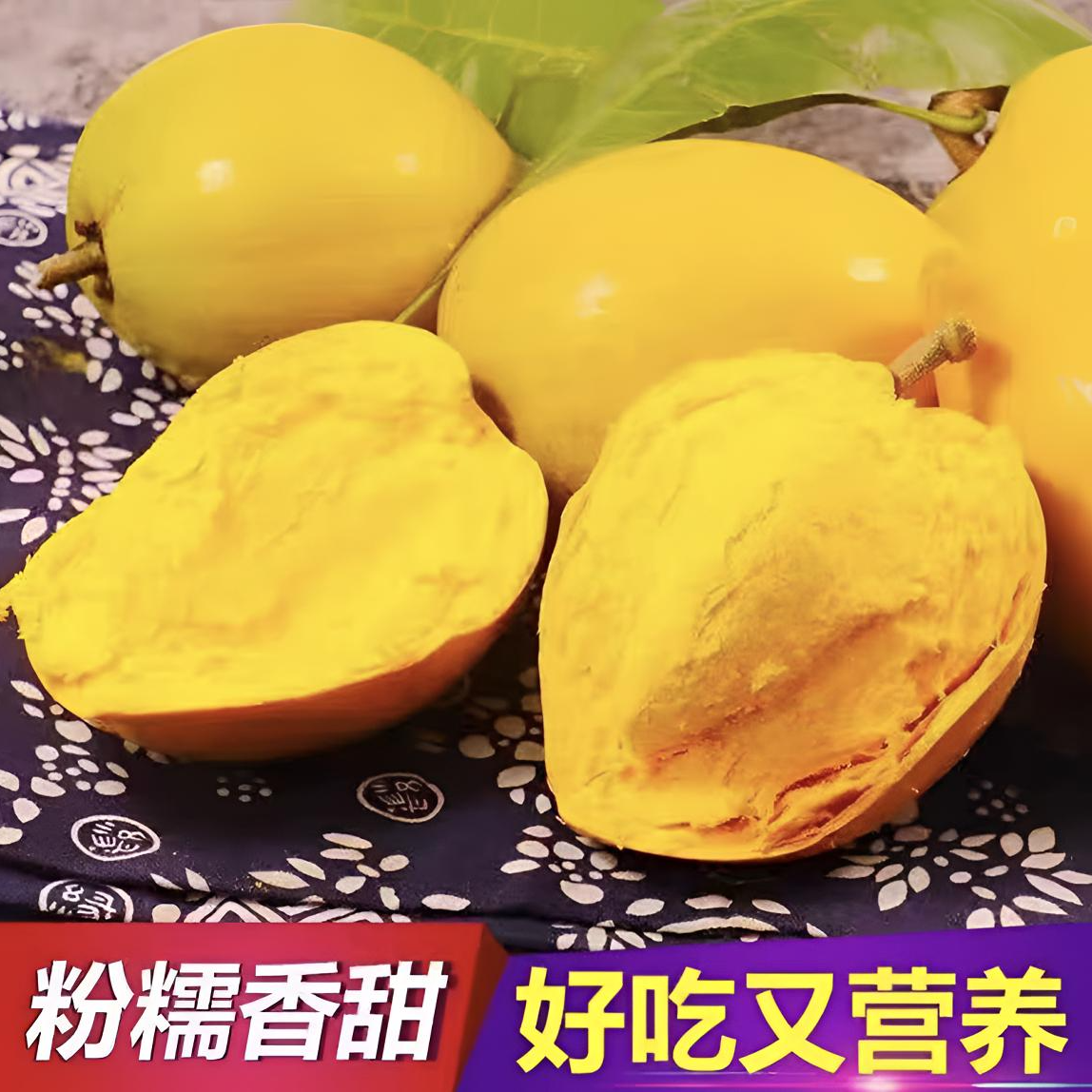 云南鸡蛋果新鲜蛋黄果热带水果应季果园现摘
