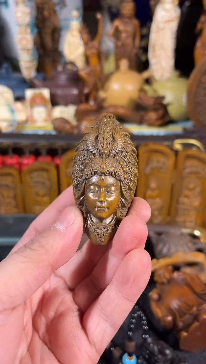 黄杨木111111111111111111