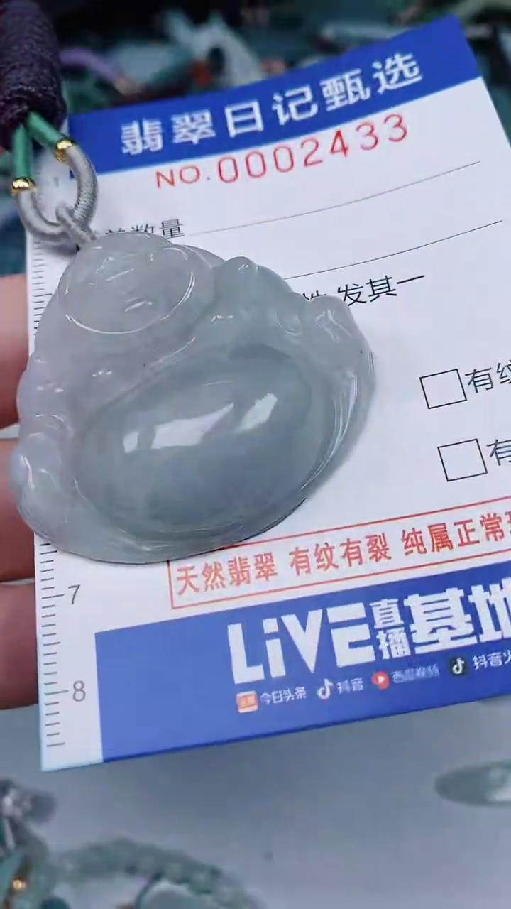 翡翠未镶嵌颈饰00002433