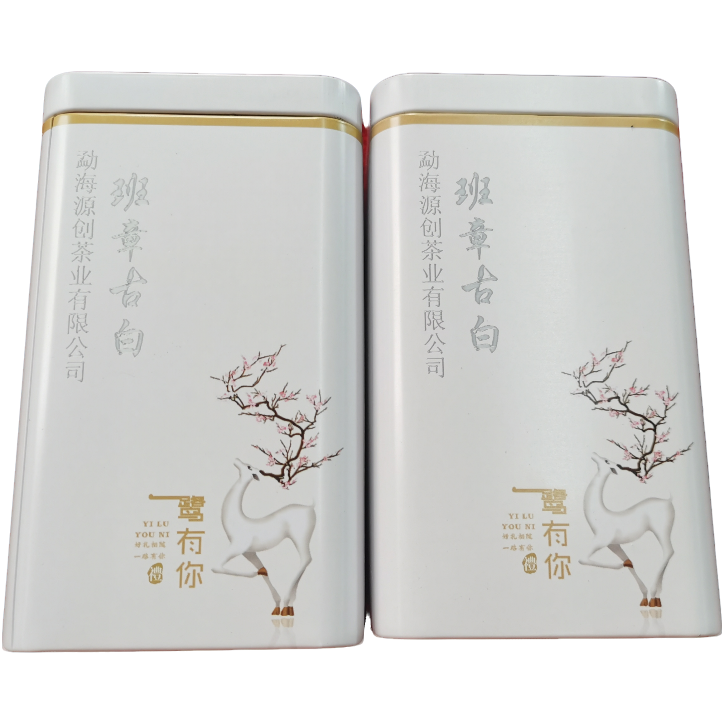 2025年（班章古树）普洱白茶【50g/罐】