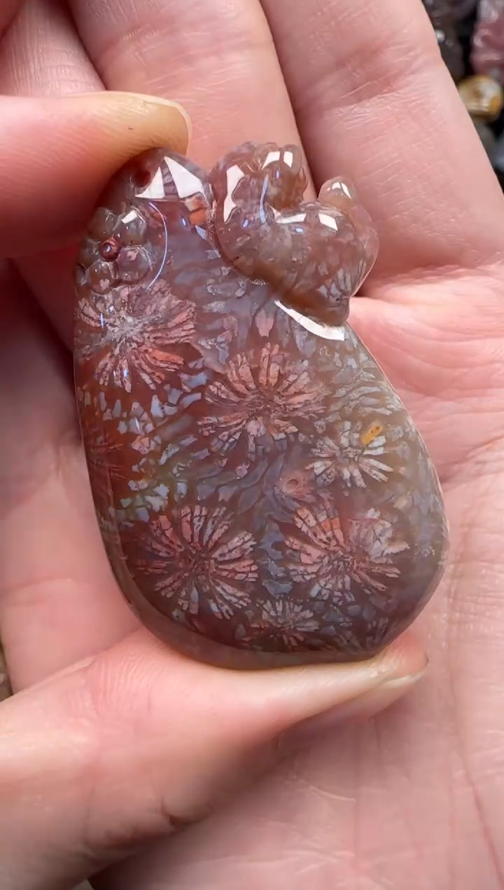 颈饰未镶嵌硅化珊瑚（珊瑚玉）356