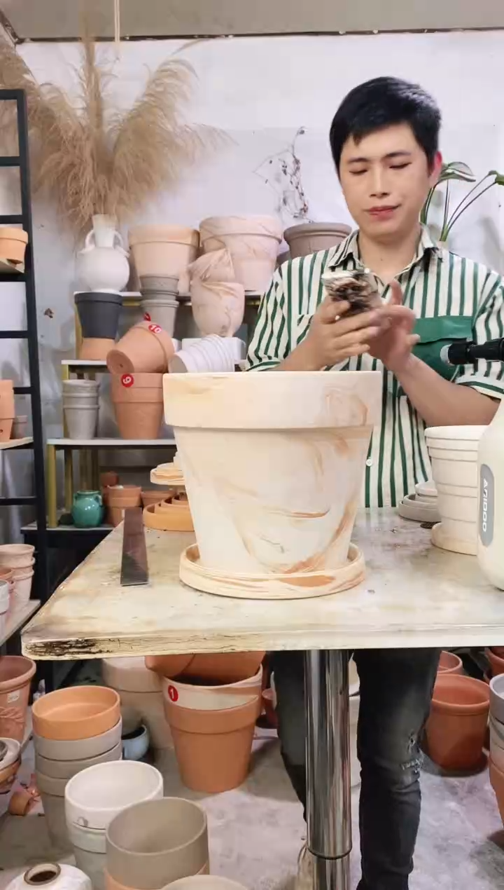 23*21玛奇朵 1盆1托