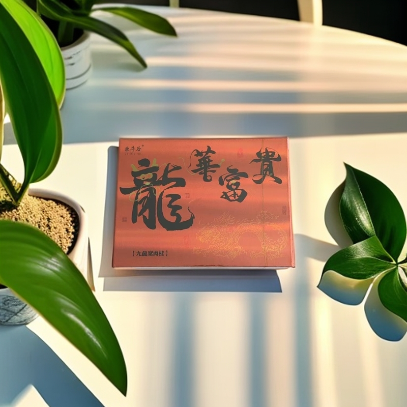 福建武夷岩茶-龙华富贵肉桂4泡礼盒装C