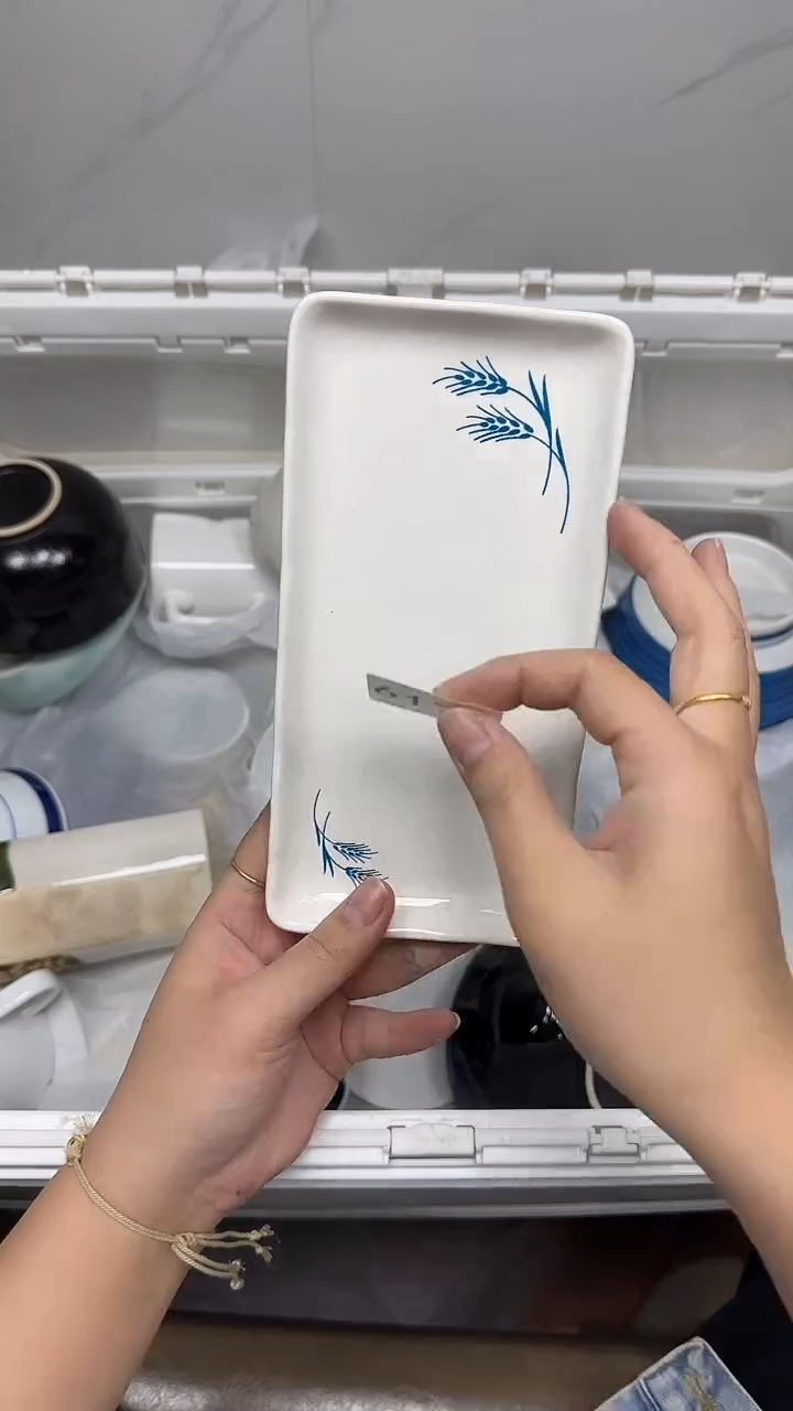 【闪购商品】6174回流瓷器默认微瑕，18.8包邮