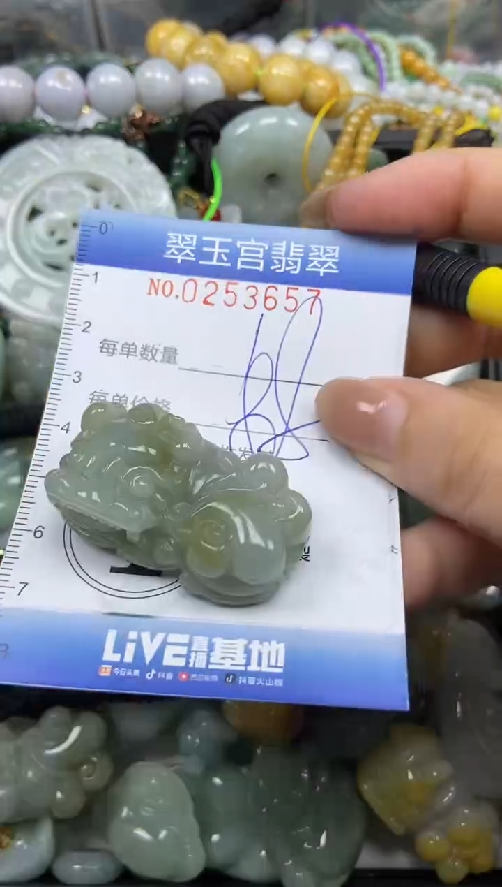 颈饰未镶嵌翡翠闪购C0253657
