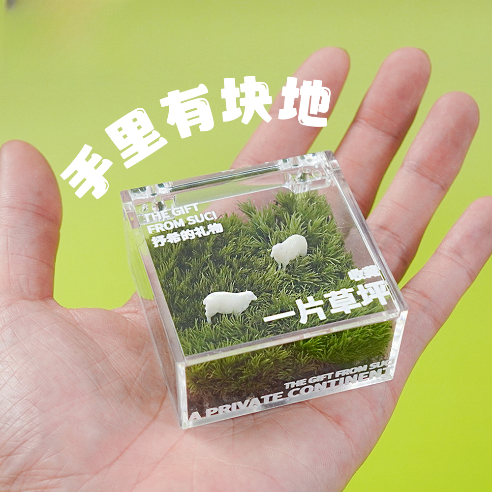 一片草坪苔藓微景观苔藓盒办公室桌面绿植盆栽创意治愈系学生礼物