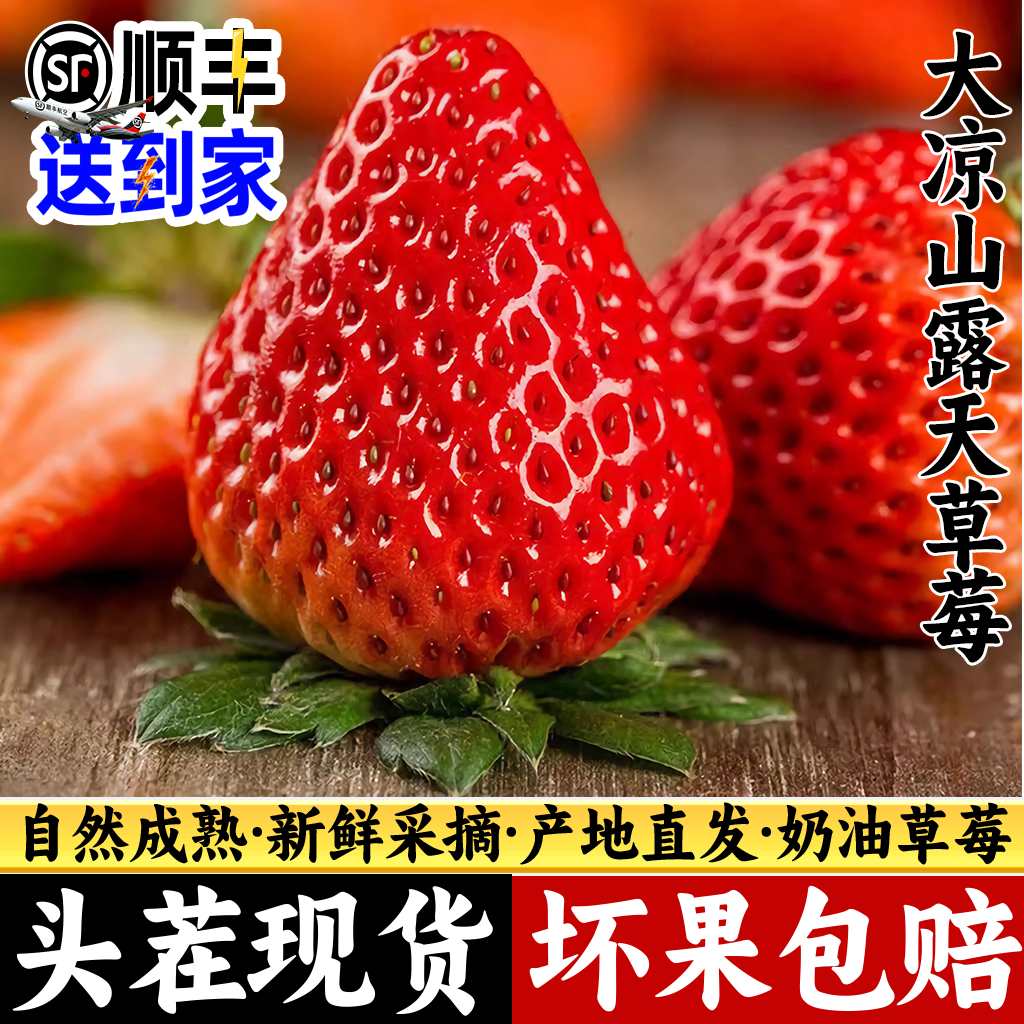 【顺丰速运】大凉山露天草莓新鲜水果红颜牛奶油草莓当季整箱